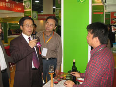 莫高葡萄酒——闪亮2010中国绿色食品上海博览会